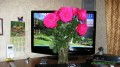 LG M2794D
