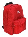 One Polar 1611