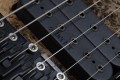 Schecter C-6 Pro FR