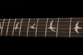 PRS SE Mark Tremonti