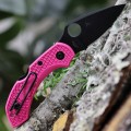 Spyderco Dragonfly 2 S30V BK