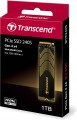 Transcend 250S