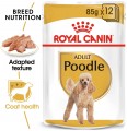 Royal Canin Poodle Adult Pouch 12 pcs