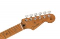 Fender Limited Edition Player Stratocaster