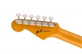 Fender Michael Landau Coma Stratocaster