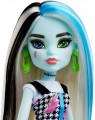 Monster High Frankie Stein HKY76