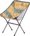 Big Agnes Mica Basin Camp Chair