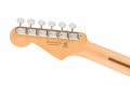 Fender Player II Stratocaster RW HSS