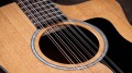 Taylor 254ce Plus