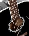 Takamine FT341 Limited edition