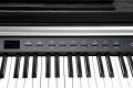 Kurzweil CUP P1