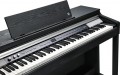 Kurzweil CUP P1