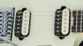 EVH Wolfgang Special Ebony Fingerboard