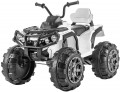 LEAN Toys Quad BMD0906