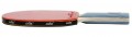Newt Cima NE-CM-10