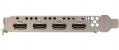 Sparkle Intel Arc A310 OMNI View 4GB