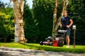 Cedrus KS56S-H