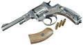 BORNER NGT Silver pellet
