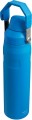 Stanley IceFlow Fast Flow Bottle 0.6
