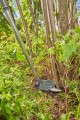 GARDENA StarCut Pro S 12080-20