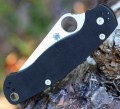 Spyderco Para-Military 2 SpyderEdge
