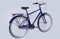 Dorozhnik Comfort Male 28 2025