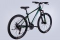 Formula Motion DD FR 26 2025