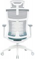 OfficePro Balance OC550