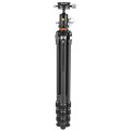 Vanguard VEO 5 234CB-110S