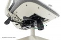 Signal Ergon