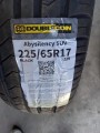 Double Coin Abysilency SUV