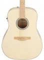 Ibanez AAD77M1E