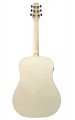 Ibanez AAD77M1E