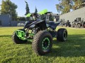 Forte ATV1000I