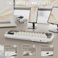 Attack Shark X66