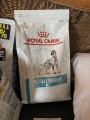 Royal Canin Anallergenic 8 kg