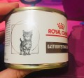 Royal Canin Gastro Intestinal Kitten 0.19 kg