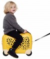 Samsonite Dream Rider