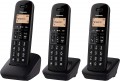 Panasonic KX-TGB613