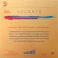 DAddario Ascente Violin String Set 1/2 Size Medium