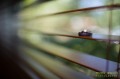 Canon 35mm f/1.4L EF USM II