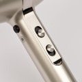 G3Ferrari Texta Gold