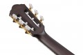 Ibanez TOD10NL