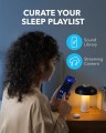 Soundcore Sleep A20