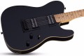 Schecter PT