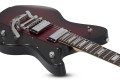 Schecter Robert Smith UltraCure