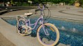 Sun Baby Flower Bike 20