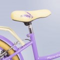 Sun Baby Flower Bike 20