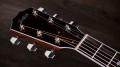 Taylor Legacy 810e