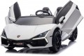 Ramiz Lamborghini Revuelto XL